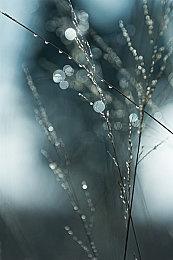 《消逝的光芒》玩家数已突破4500万 官方感谢玩家支持